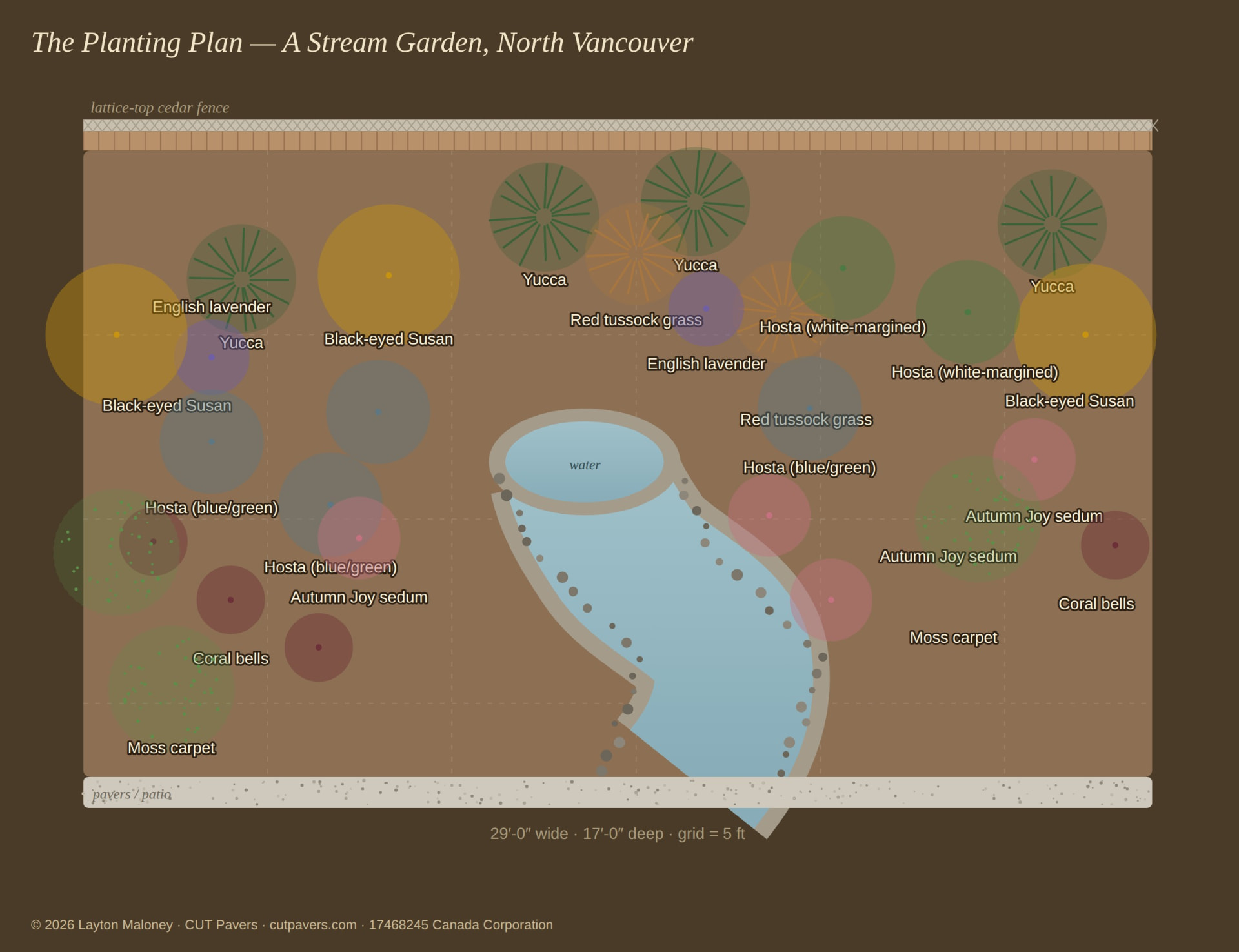 Top-down planting plan for the stream garden, 29 by 17 feet