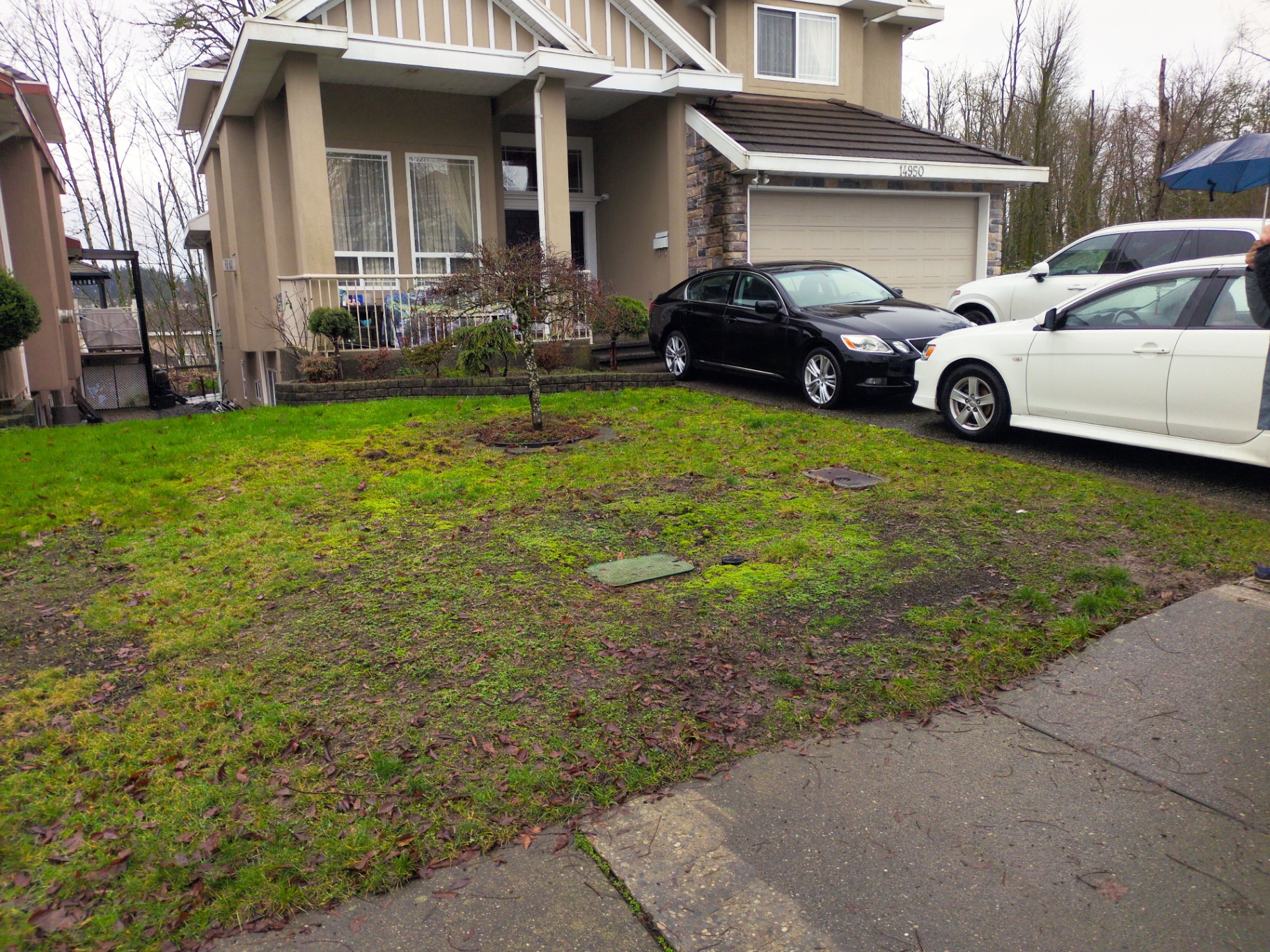 Original moss-covered front lawn before excavation