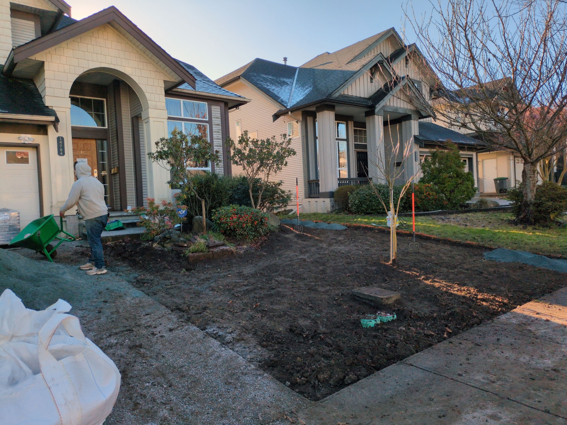 Front yard stripped to bare soil with tree staked, ready for excavation