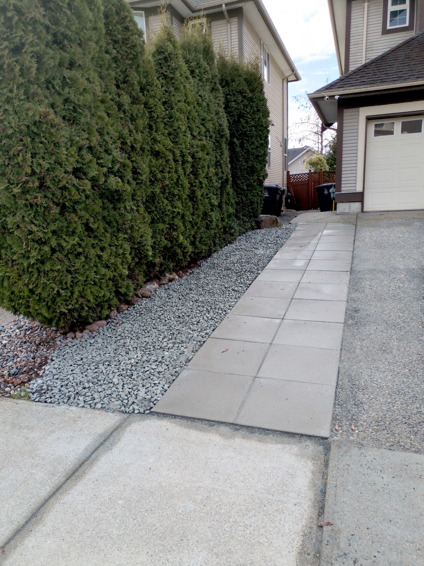 Finished hedge-line walkway with drainage rock border running to the driveway